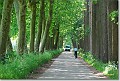Langs het Kempisch kanaal